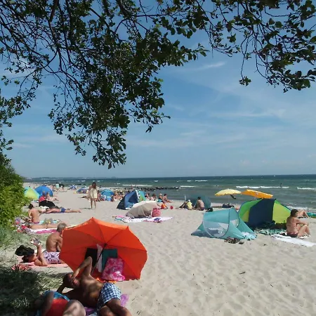 Vogelsang Vo, Schwimmbad, Sauna Appartamento Sierksdorf